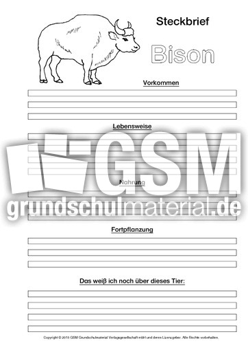 Bison-Steckbriefvorlage-sw.pdf